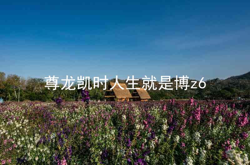 尊龙凯时人生就是博z6